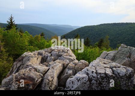 Boulders in foreground with green forests and distant mountains from from Lions Head, Dolly Sods Wilderness, West Virginia Stock Photo