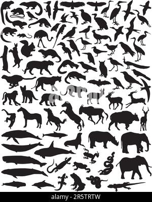 Collection of a wide range of wild animal silhouettes Stock Vector