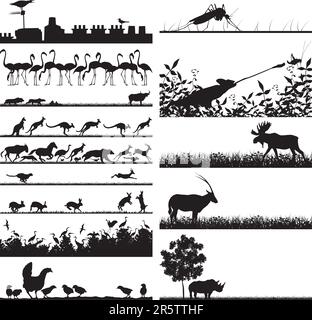 Selection of vector outline foregrounds of animals Stock Vector