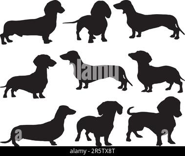 Set of Dachshund Dog Silhouette Art Work on White Background Stock Vector