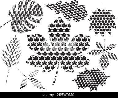 Set of vector leaf design made from the leaf's silhouette Stock Vector