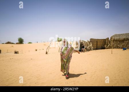 Mauritania, Adrar region, Tanouchert oasis,  woman Stock Photo