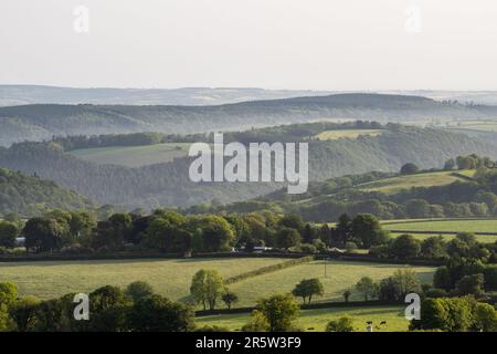 Morning mist rises from Lydford Forest and Lew Wood in the rolling landscape of West Devon, as viewed from Brent Tor. Stock Photo