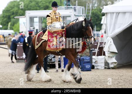 Drum Shire Horse Apollo at the Royal Windsor Horse Show 2023, performing with the Household Cavalry, Blues and Royals Stock Photo