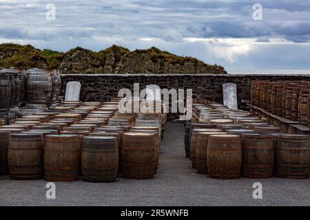 Old wooden barrels and casks stand under open sky maturing at Ardbeg Distillery, Isle of Islay, Inner Hebrides, Scotland, United Kingdom Stock Photo