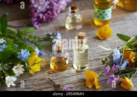 Bottles of aromatherapy essential oil, with fresh herbs and flowers in spring Stock Photo