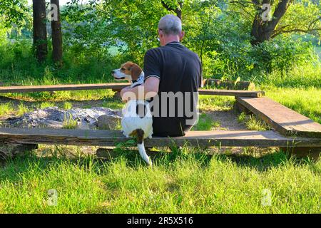 An elderly man sitting on a bench with his dog. Dog and its owner in nature. The concept of friendship between man and dog. Stock Photo