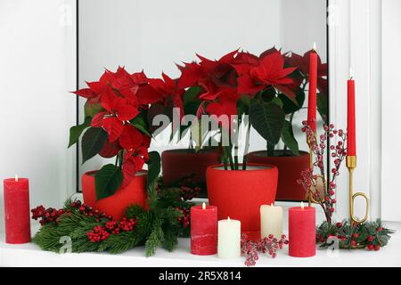 Potted poinsettias, burning candles and festive decor on windowsill in room. Christmas traditional flower Stock Photo