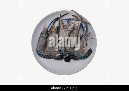 Close up of fresh raw prawns or shrimps in white plate for cooking. Stock Photo