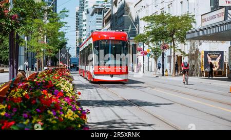 Street view of new TTC Bombardier-made streetcar in downtown Toronto's entertainment district. New Toronto Transit Commision tram on streets of Toront Stock Photo