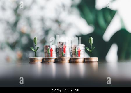 Save money, success goals and investment growth concept. Tree growing on stack coins with arrows rising on green nature background. Financial and busi Stock Photo