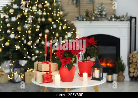 Potted poinsettias, burning candles and festive decor on white table in room. Christmas traditional flower Stock Photo