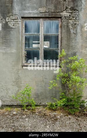 old window in dilapidated brick wall Stock Photo