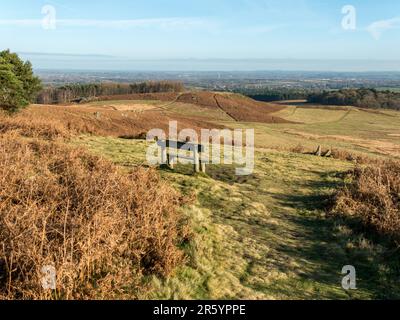 Wooden park bench seat overlooking Bradgate Park Country Park in December, Leicestershire, England, UK Stock Photo