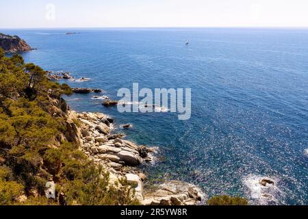 Nature in all its splendor: an experience for the senses. Costa Brava, near small town Palamos, Spain Stock Photo