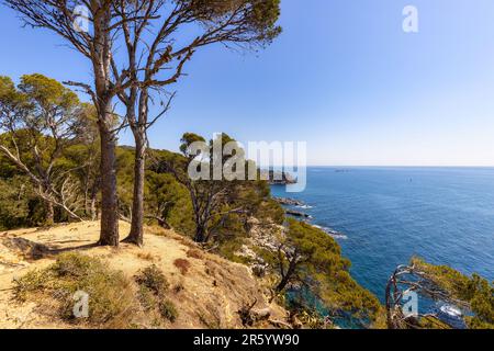 Nature in all its splendor: an experience for the senses. Costa Brava, near small town Palamos, Spain Stock Photo