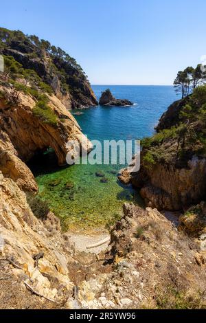 Nature in all its splendor: an experience for the senses. Costa Brava, near small town Palamos, Spain Stock Photo