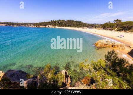 Nature in all its splendor: an experience for the senses. Costa Brava, near small town Palamos, Spain Stock Photo