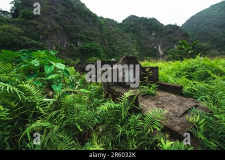 Tomb stones in cemetery between lush green karst mountains in Ninh Binh, Vietnam Stock Photo