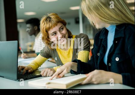 Smiling woman working on laptop and sitting with friend Stock Photo