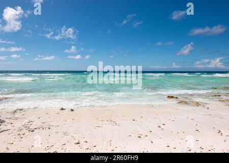 Tropical white sand beach, Seychelles. Stock Photo