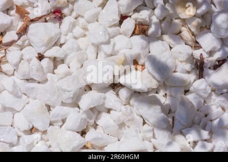 The white pebbles on a dark surface on a sunny day Stock Photo