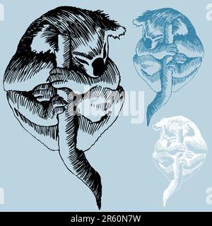 Hand drawn pen and ink koala bear sleeping on a branch. Stock Vector