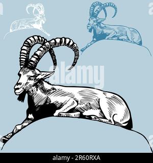 Hand drawn image of a ram / goat. Stock Vector