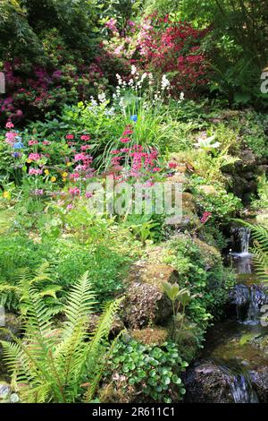 Plas Cadnant, Hidden Gardens Stock Photo