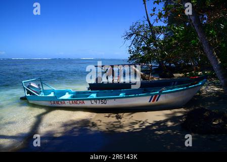 The forest of Cahuita National Park, overlooking the Caribbean Sea, Costa Rica. Stock Photo