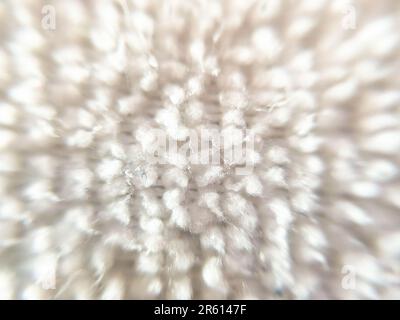 Macro shot of micbofiber white cloth Stock Photo