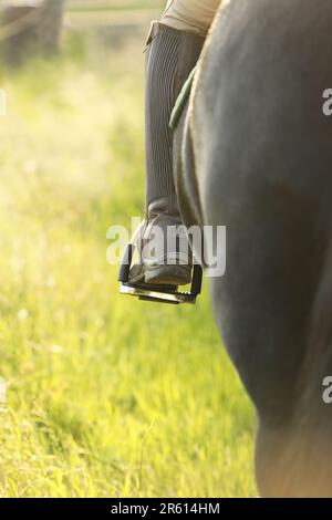 Close up of a horse riders lower leg, riding boot and stirrup, riding a black horse Stock Photo