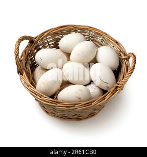 Basket with fresh picked white large goose eggs close up isolated on white background Stock Photo