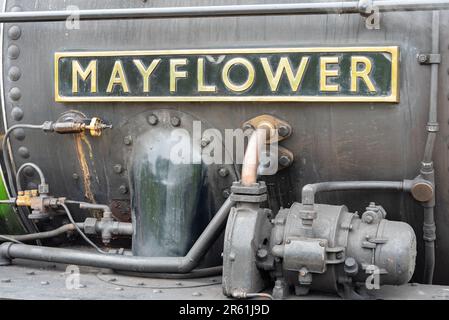Steam locomotive LNER B1 Class 61306 Mayflower hauling a Steam Dreams excursion. Mayflower name plate. Named loco nameplate Stock Photo