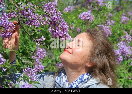 The photo was taken in the city park of Odessa. In the picture, a young attractive woman enjoys the smell of lilac blossoms. Stock Photo