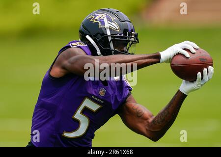 Laquon Treadwell of the Baltimore Ravens warms up prior to an NFL