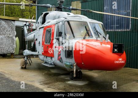 Westland Lynx HAS.3 (ICE) XZ246. South Yorkshire Air Museum. Stock Photo