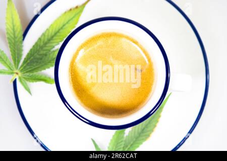 Marijuana light green leaf on blue white cup Stock Photo