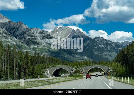 Trans-Canada highway in Banff National Park, showing the wildlife crossing overpass Stock Photo