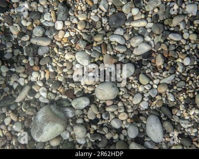Small round rocks or pebbles few covered with algae, closeup underwater photo Stock Photo
