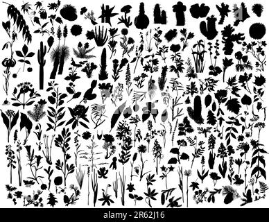 Big collection of different vector plants silhouettes Stock Vector