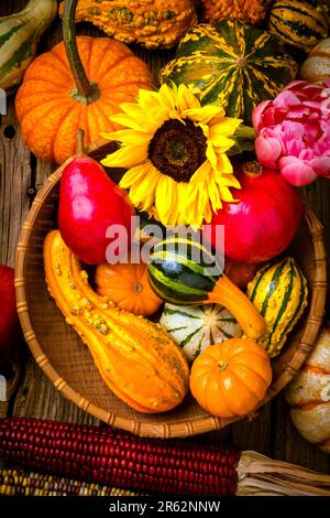 Autumns Abundance Still Life Stock Photo