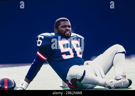 Lawrence Taylor, #56, New York Giants 1984 Stock Photo - Alamy