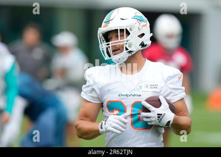 Miami Dolphins fullback Alec Ingold (30) misses a pass under pressure from  New England Patriots linebacker Ja'Whaun Bentley (8) during the first half  of an NFL football game, Sunday, Sept. 11, 2022