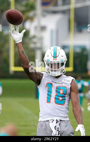 Erik Ezukanma is absolutely slaying Dolphins training camp