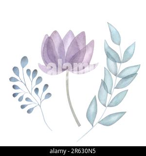 Watercolor transparent flowers leaves. Floral set in pastel purple, pink, blue, green colors. Hand drawn illustration isolated on white background. Fo Stock Photo