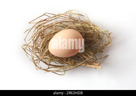 close-up of fresh brown egg on dried grass cup nest isolated on white background, healthy organic food concept Stock Photo