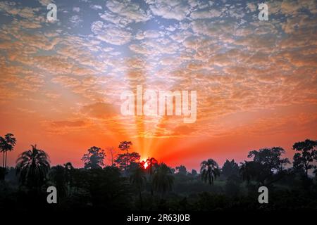 Sunset at Bugoma Forest in Uganda Stock Photo