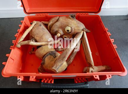 Magdeburg, Germany. 06th June, 2023. A wooden puppet for the play Pinoccio lies ready in a case for the construction of a special exhibition. With the special exhibition 'And then alive: The World of Hagen Tilp,' two dozen theater puppets are on display. These impressive character puppets have already entered puppet and acting stages of major theaters. The creative process behind these puppets is fascinating and requires many working steps which will be shown in the special exhibition. Credit: Matthias Bein/dpa/Alamy Live News Stock Photo