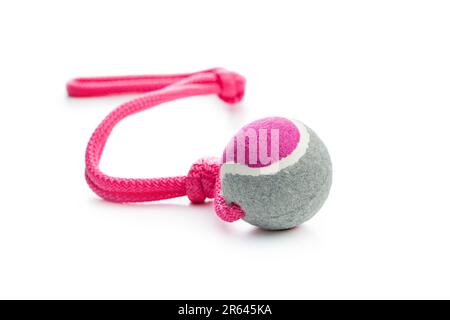 Dog toy, ball on rope isolated on the white background. Stock Photo